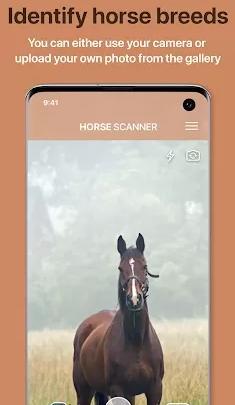 Horse Scanner 马鉴定器v12.1.0高级版-轻创终点站