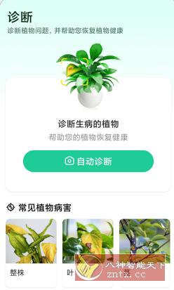 Plant Parent 植物养护v1.102高级版 Plant Parent 植物养护v1.102高级版