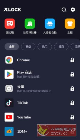 应用锁 App Lock XLock Pro v1.8.3专业版-轻创终点站